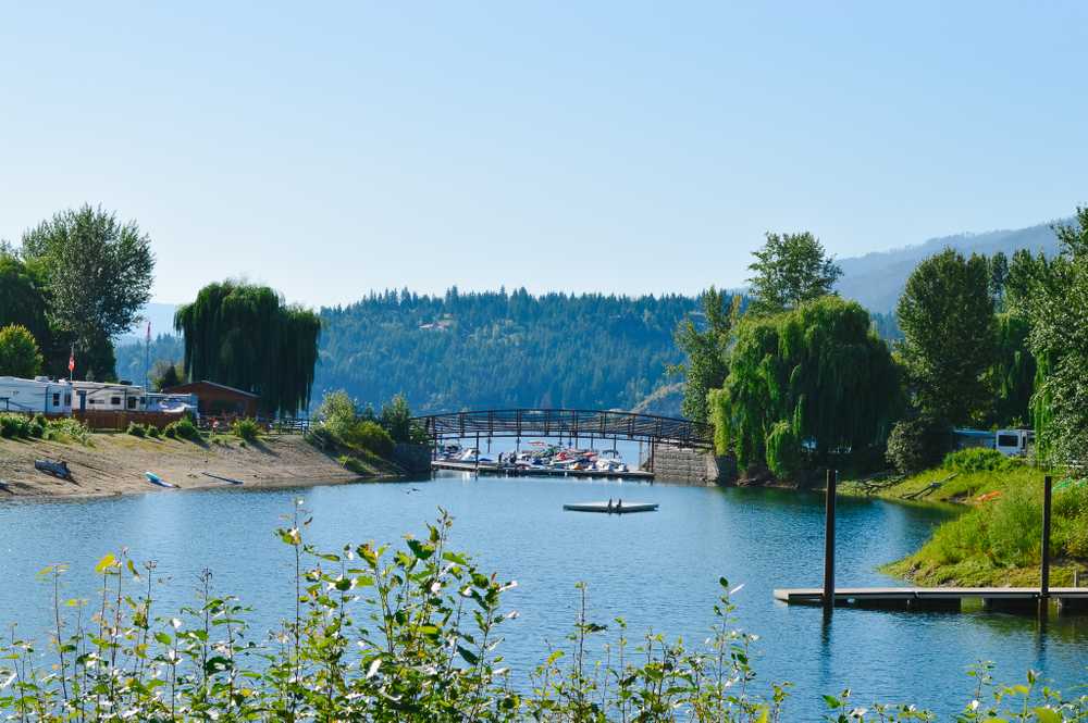 Cottonwood Cove RV Resort - Photo 5