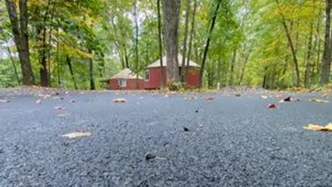 Deepwoods Village: Yurt — image 1 of 3
