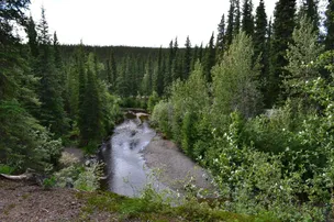 Tolsona Wilderness Campground – photo 2