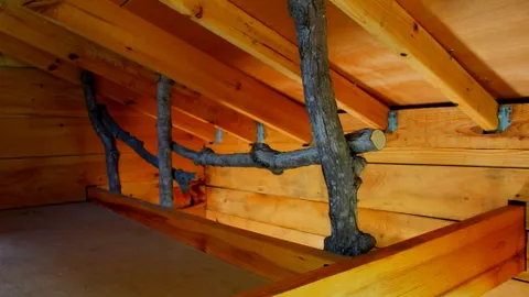 Rustic Cabin — image 6 of 6