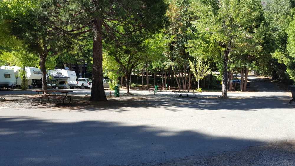 Sierra Skies RV Park - Photo 5
