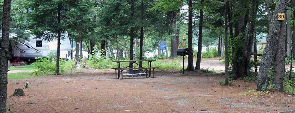 Deer River Campsite - Photo 4